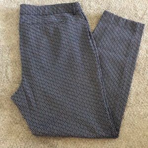 The diva dress pant in tall